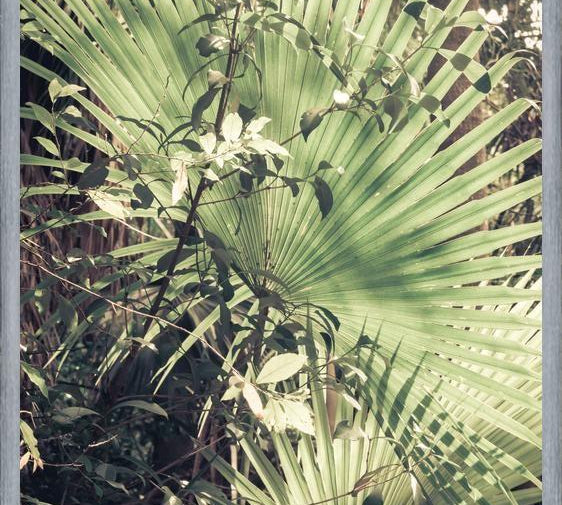 Cuadro Greenery III