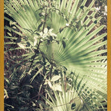 Cuadro Greenery III