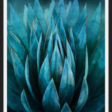 Cuadro Blue Succulent