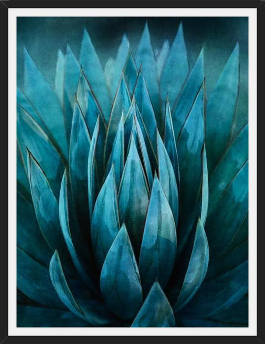 Cuadro Blue Succulent