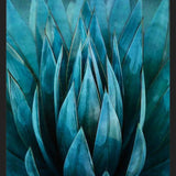 Cuadro Blue Succulent