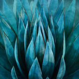 Canvas Blue Succulent
