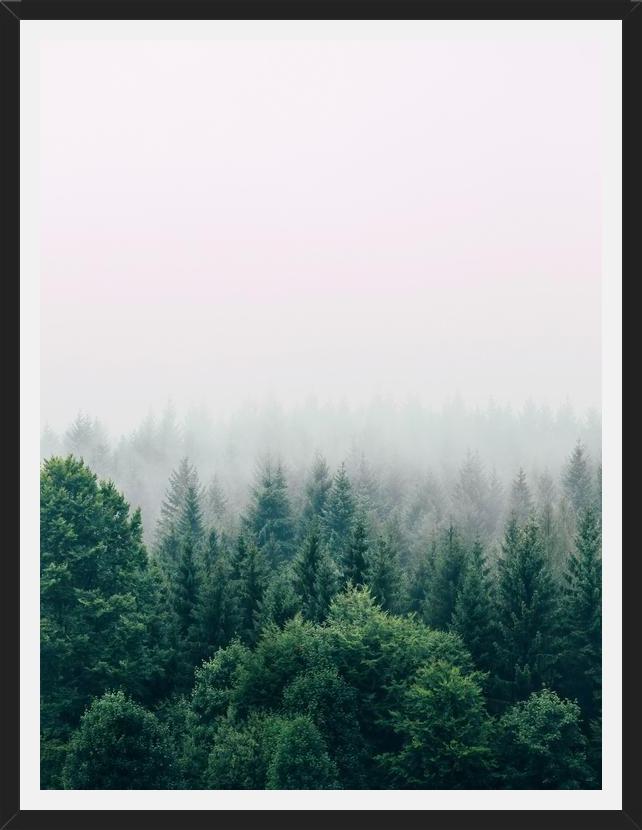 Cuadro The Fog And The Forest I