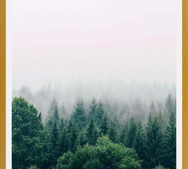 Cuadro The Fog And The Forest I