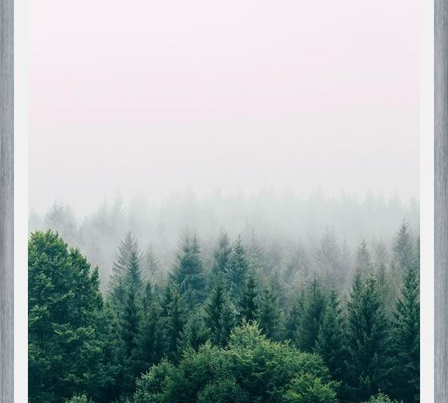 Cuadro The Fog And The Forest I