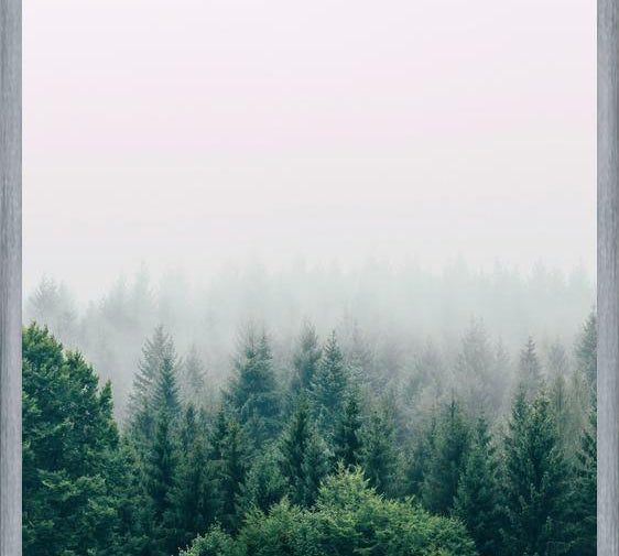 Cuadro The Fog And The Forest I