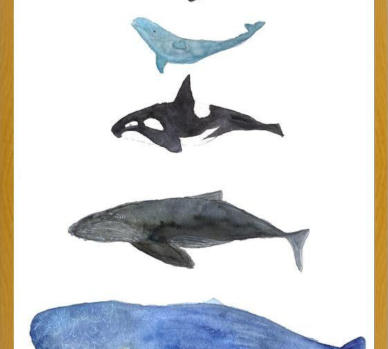 Cuadro Ballenas