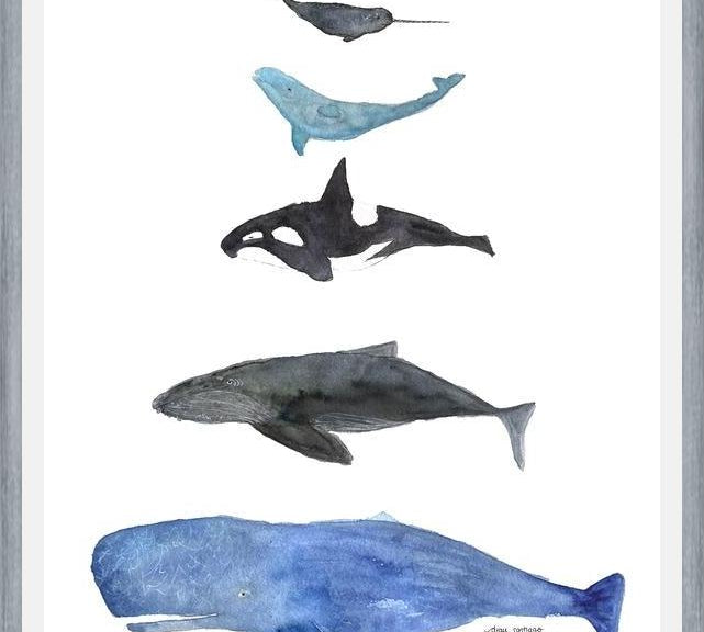 Cuadro Ballenas