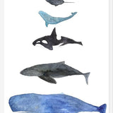 Cuadro Ballenas