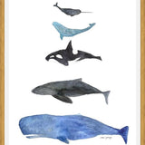Cuadro Ballenas