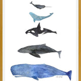 Cuadro Ballenas