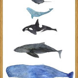 Cuadro Ballenas