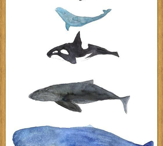 Cuadro Ballenas