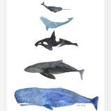 Cuadro Ballenas