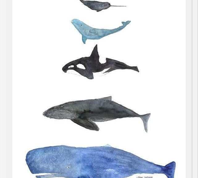 Cuadro Ballenas