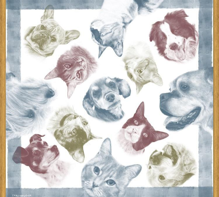 Cuadro Diseño Peros y Gatos
