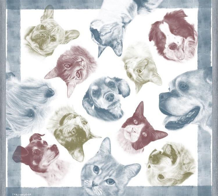 Cuadro Diseño Peros y Gatos