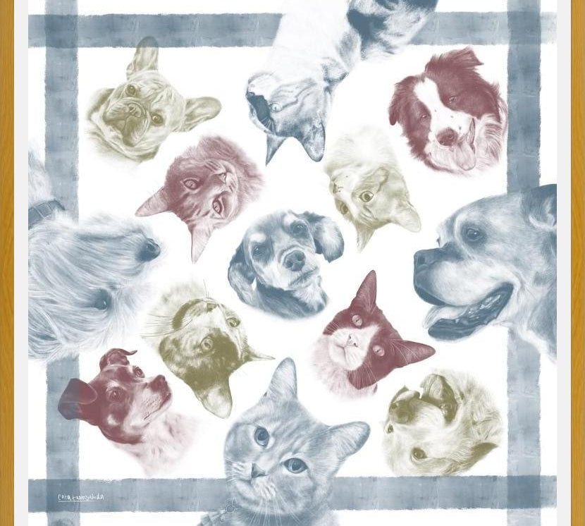Cuadro Diseño Peros y Gatos