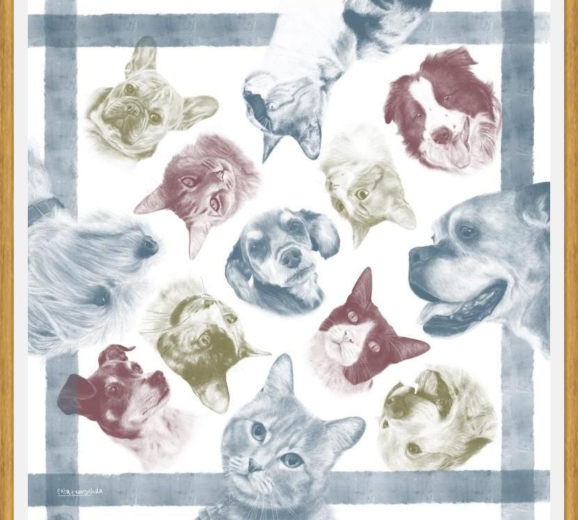 Cuadro Diseño Peros y Gatos