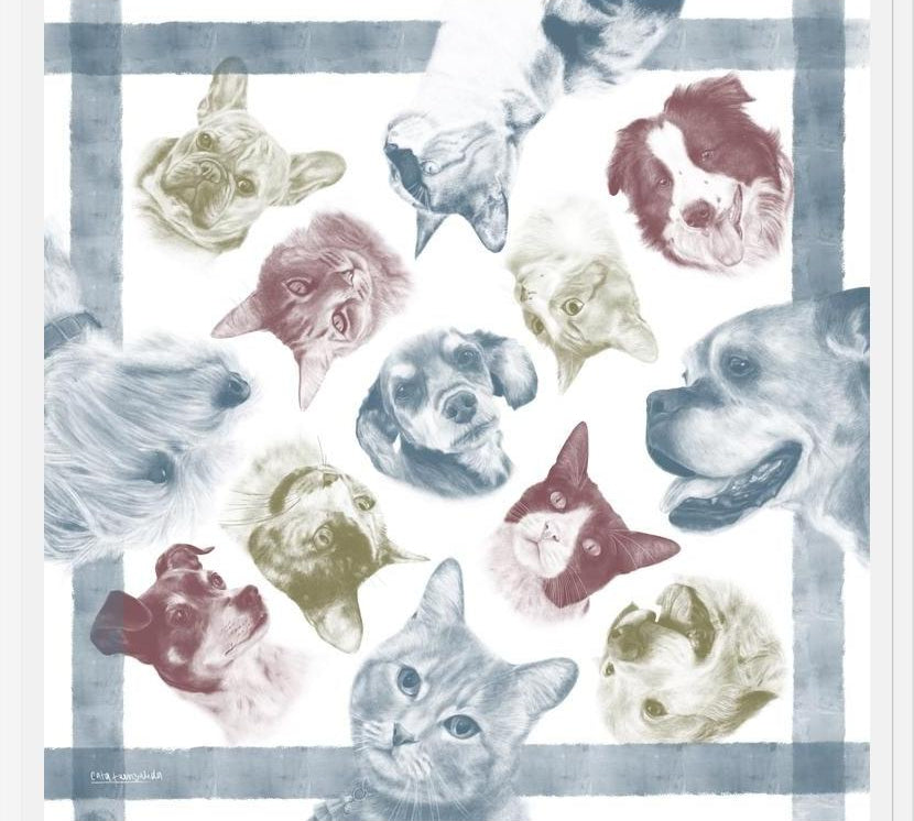 Cuadro Diseño Peros y Gatos