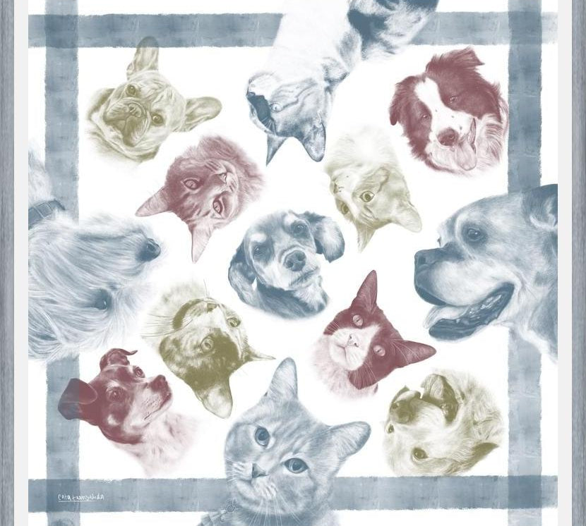 Cuadro Diseño Peros y Gatos