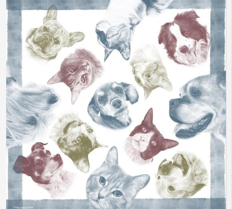 Cuadro Diseño Peros y Gatos