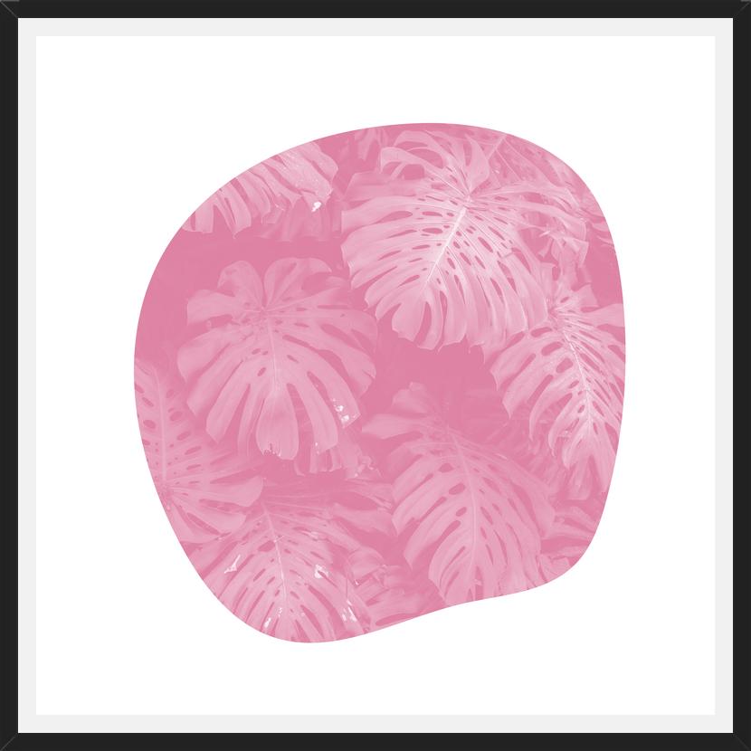 Cuadro Organic Tropical Leaves Pale