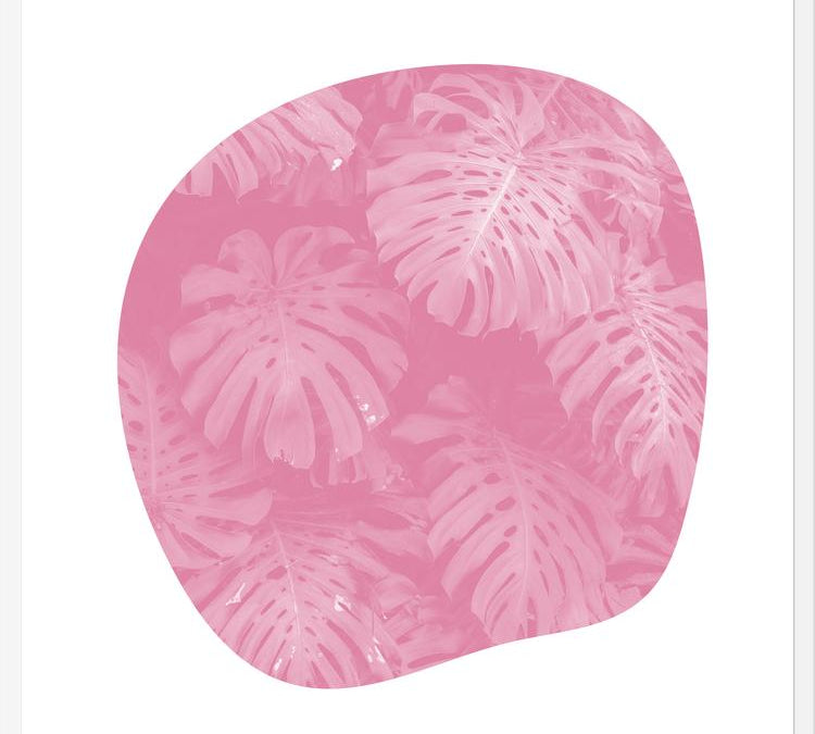 Cuadro Organic Tropical Leaves Pale