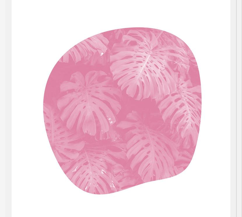 Cuadro Organic Tropical Leaves Pale