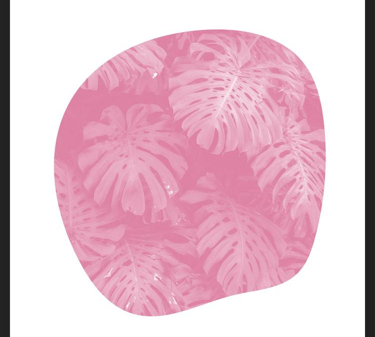 Cuadro Organic Tropical Leaves Pale