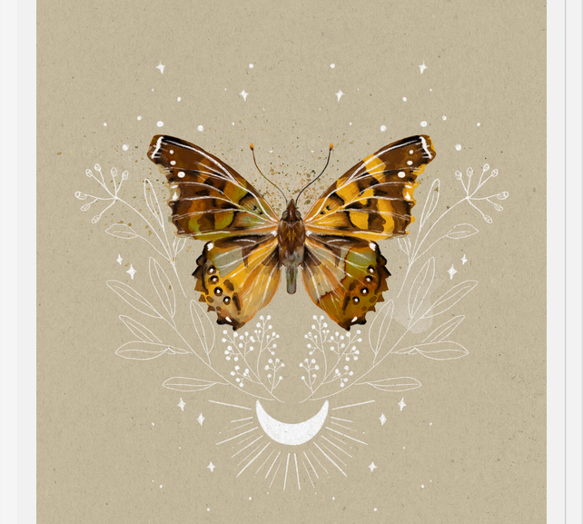 Cuadro Mariposa Mistica