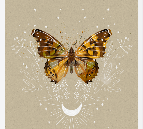 Cuadro Mariposa Mistica