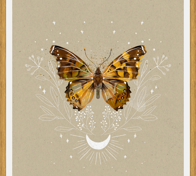 Cuadro Mariposa Mistica