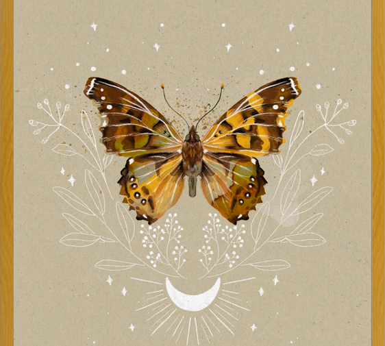 Cuadro Mariposa Mistica