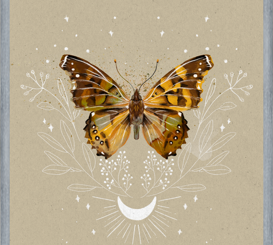 Cuadro Mariposa Mistica