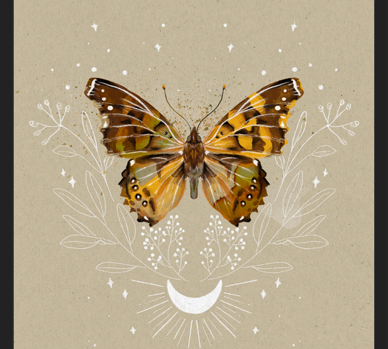 Cuadro Mariposa Mistica