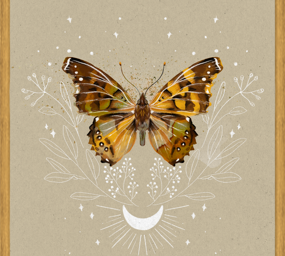 Cuadro Mariposa Mistica