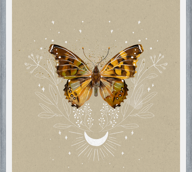 Cuadro Mariposa Mistica