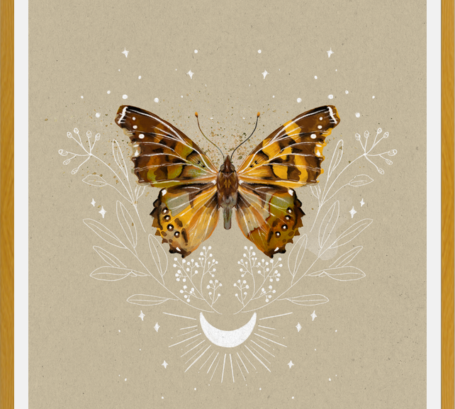 Cuadro Mariposa Mistica