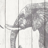 Papel Mural Camino de Animales