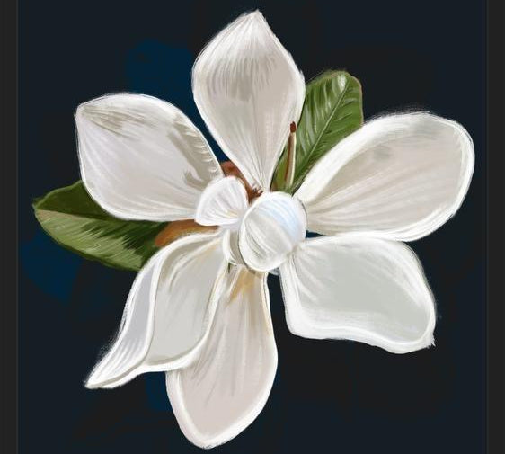Cuadro Magnolia