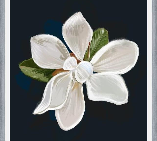 Cuadro Magnolia