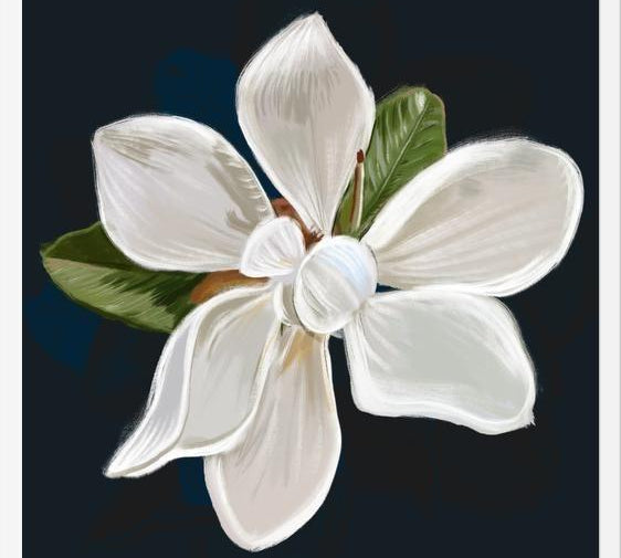 Cuadro Magnolia