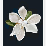 Cuadro Magnolia