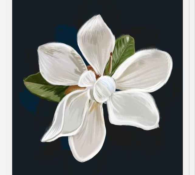 Cuadro Magnolia