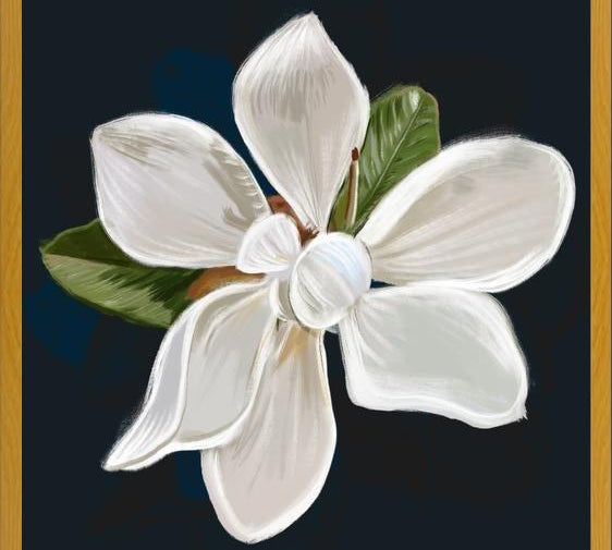 Cuadro Magnolia