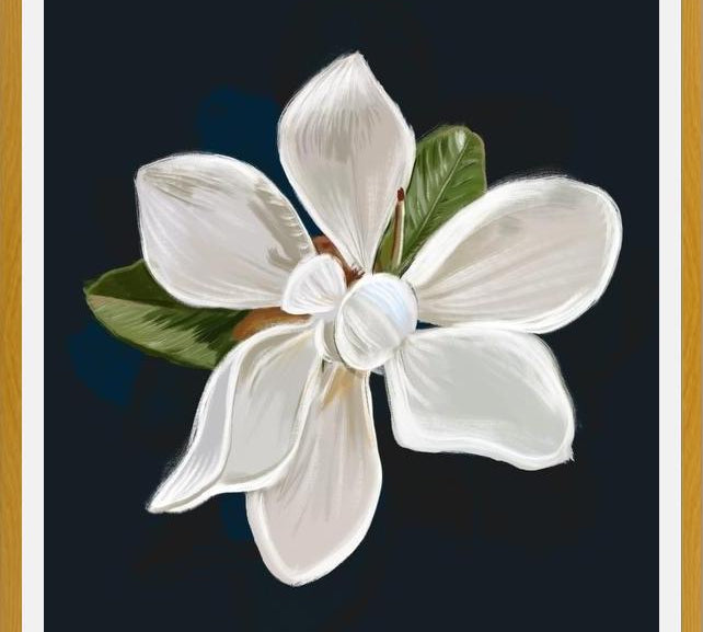 Cuadro Magnolia