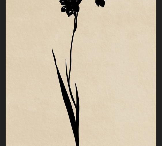 Cuadro MINIMAL FLOWRES