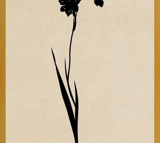 Cuadro MINIMAL FLOWRES