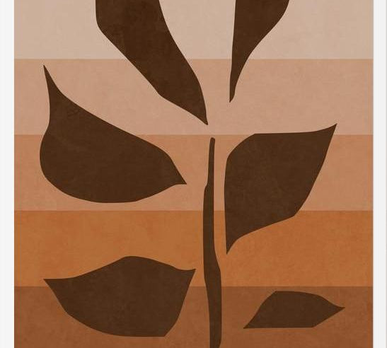 Cuadro Planta Naranja